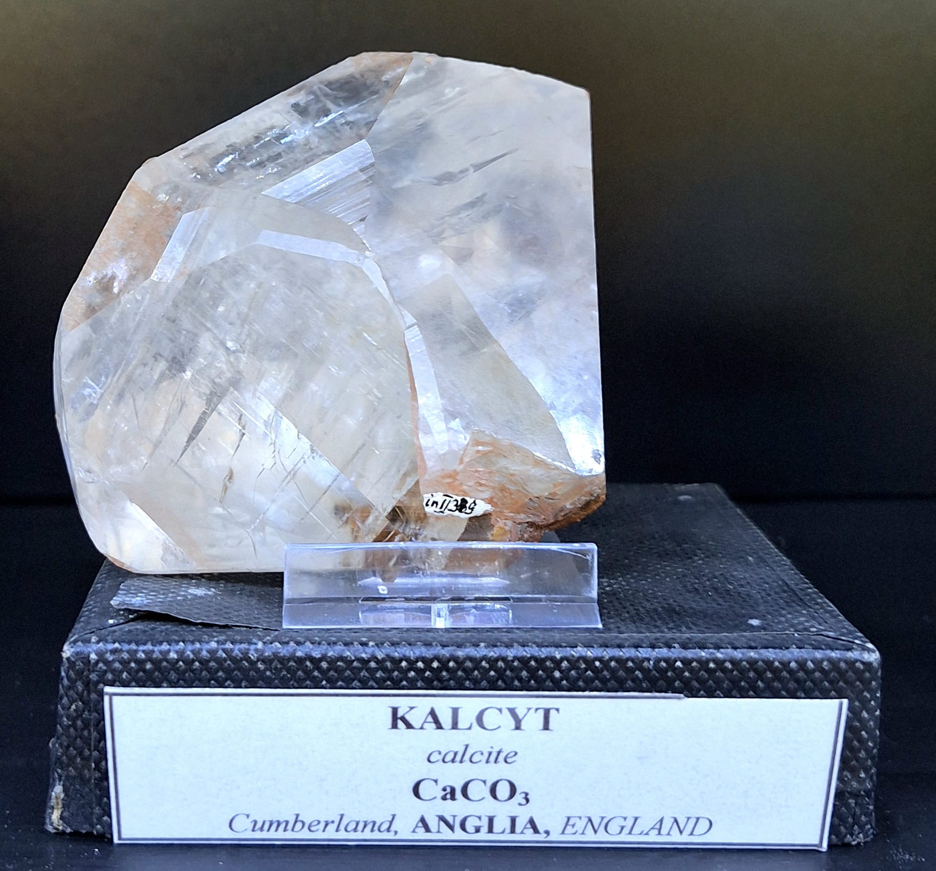 kalcyt